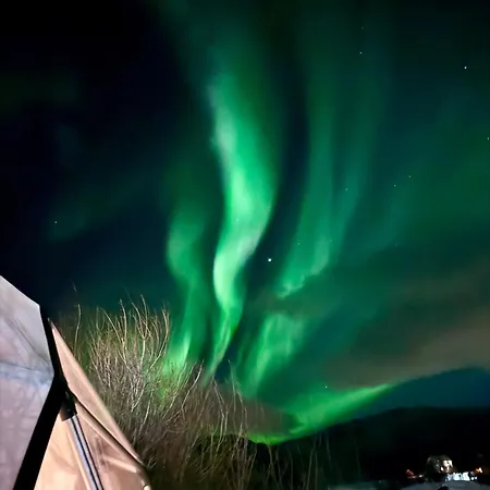 Storjord Glamping * Tromso