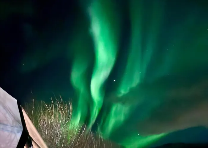 Storjord Glamping * Tromsø